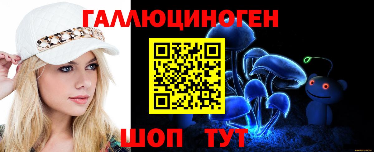 Гай  Псилоцибиновые грибы Psilocybe  Вход с VPN 